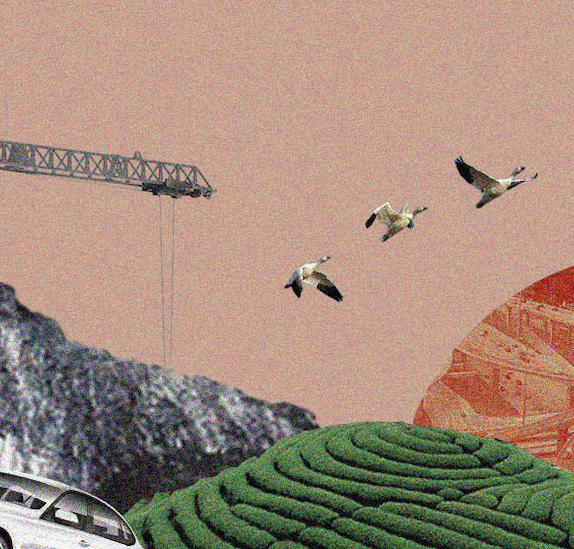 Collage of land, birds flying, a mountain and a construction crane.